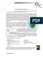 Cromatografía Espinacas PDF