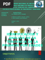 Piramide de Edades - Epidemiologia