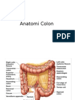 Anatomi Colon