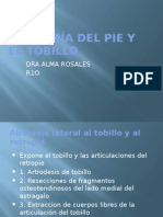 Abordajes Pie y Tobillo