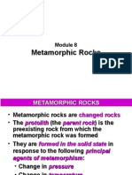 Module 8 - Metamorphic Rocks