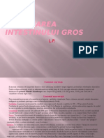 Explorarea Intestinului Gros Power Point