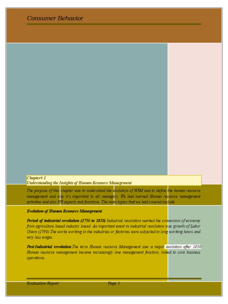 Conumer Behavior EvaluatiOn RepOrt | PDF | Consumer Behaviour | Motivation