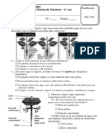 Naturais Ciencias - Naturais - 6 - Ano