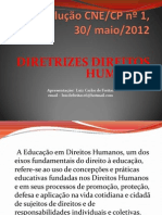 Diretrizes Direitos Humanos