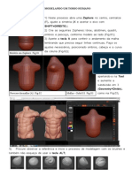 Passo A Passo - Torso Masculino