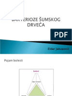 Bakterioze Šumskog Drveća