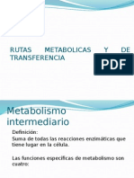 Rutas Metabolicas y de Transferencia