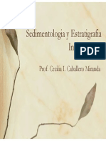 10Sedimentologia y Estratigrafia Introduccion