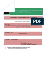Torsion de Utero Ingravido PDF