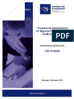 Prog Adm Neg Caja AQP 140 Hrs (Académico) PDF