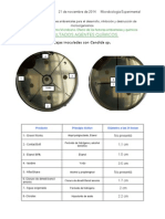 Resultados Agentes Químicos Luján Soto Eduardo PDF
