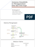 optimasi biomassa dunaliella salina dengan medium urin sapi