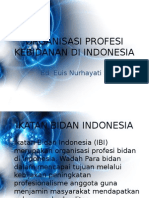 Organisasi Profesi Kebidanan Di Indonasi