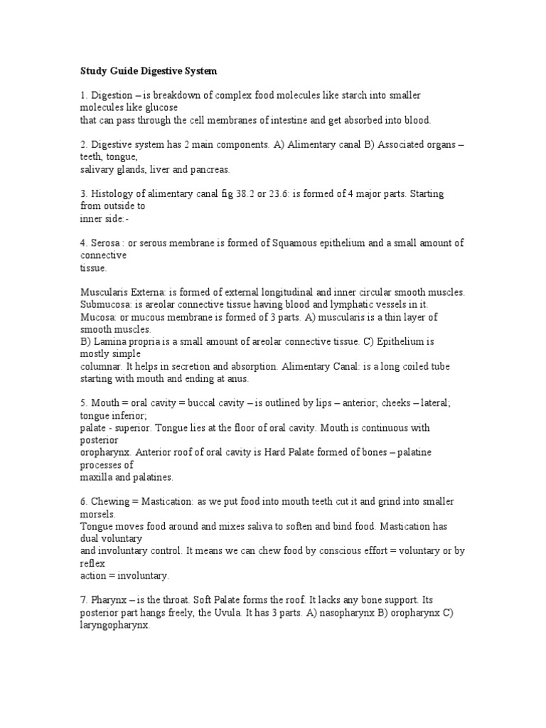 Digestive System Study Guide Answers | PDF | Liver | Stomach