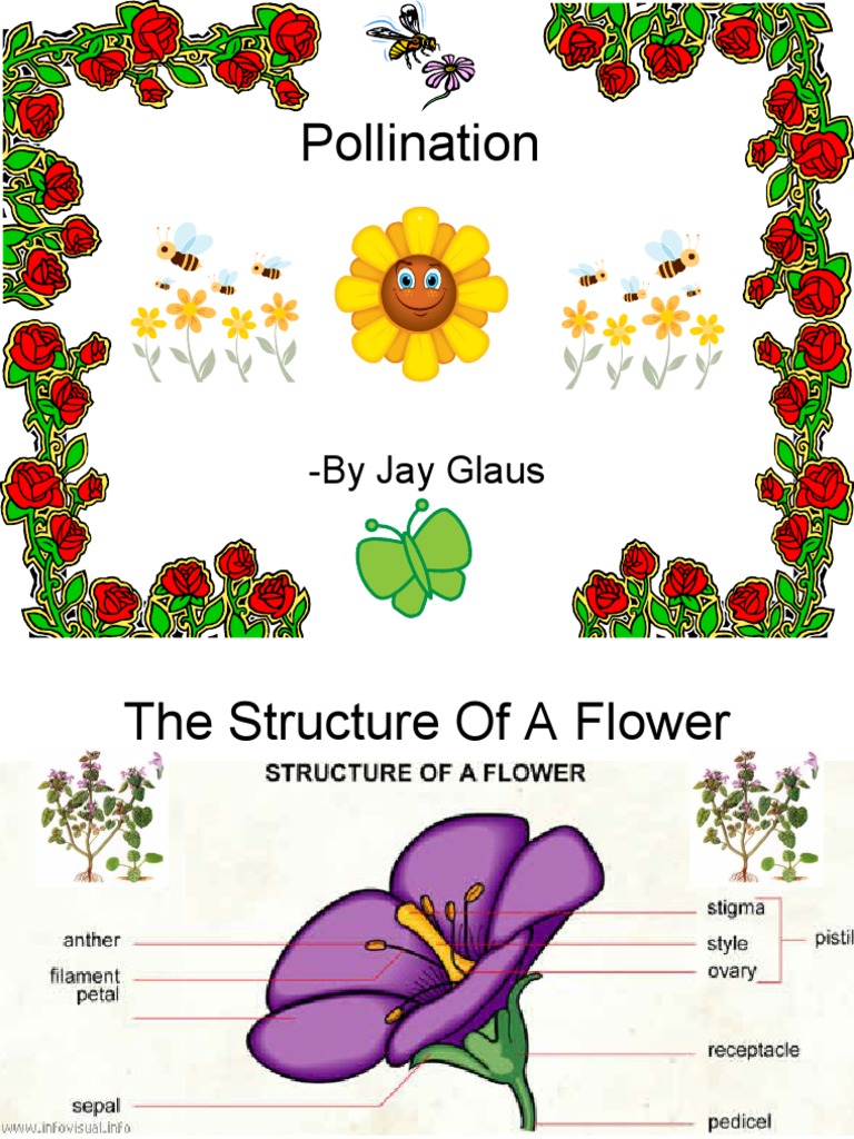 Pollination of Flowers Flowers Pollination