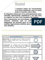 Diagrama Bimanual, S14, S15