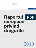 Raportul European Privind Drogurile 2013