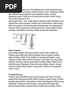 Download Larva Nyamuk by Antony D Duha SN253851407 doc pdf