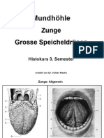 Zunge Speicheldruesen VM