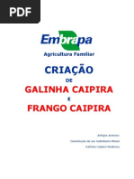 CRIACAO DE GALINHA E FRANGO CAIPIRA.pdf