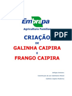 Criacao de Galinha e Frango Caipira PDF