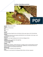 Care Sheet - Giant African Land Snail