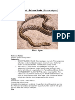 Care Sheet - Glossy Snake