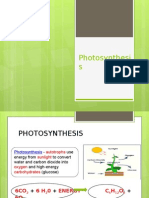 Photosynthesis Esol