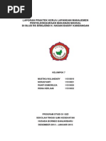 Download Laporan PKL MPMM RS Brigjend H Hasan Basry Kandangan by Risna Herliani SN253877249 doc pdf