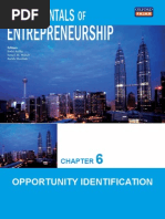 Chapter 6 Opportunity Identification