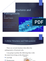 unit 2 assignment 1 cellular structures and pathogenicity sc2730