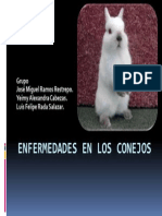 Enfermedades en Los Conejos PDF