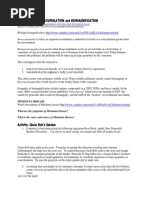 Wkst Biological Magnification And Bioaccumulation Pdf Pesticide Occupational Safety And Health