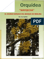 WAYQECHA El Mundo Mágico del Bosque de Neblina 