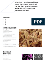 diaposbacillus11[1]