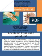Anestesia epidural.pptx