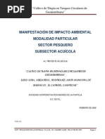 Tilapia Roja 2006 | PDF | Tecnología