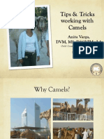 Camel Talk Ucd For Webpage