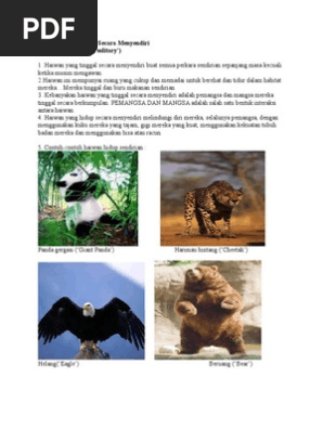 Haiwan Hidup Bersendirian Pdf