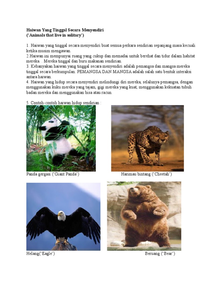 Haiwan Hidup Berkumpulan Kelebihan Contoh Nama Galeea