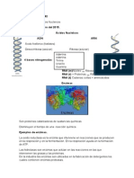 Enzimas, cidos nucleicos y citologia