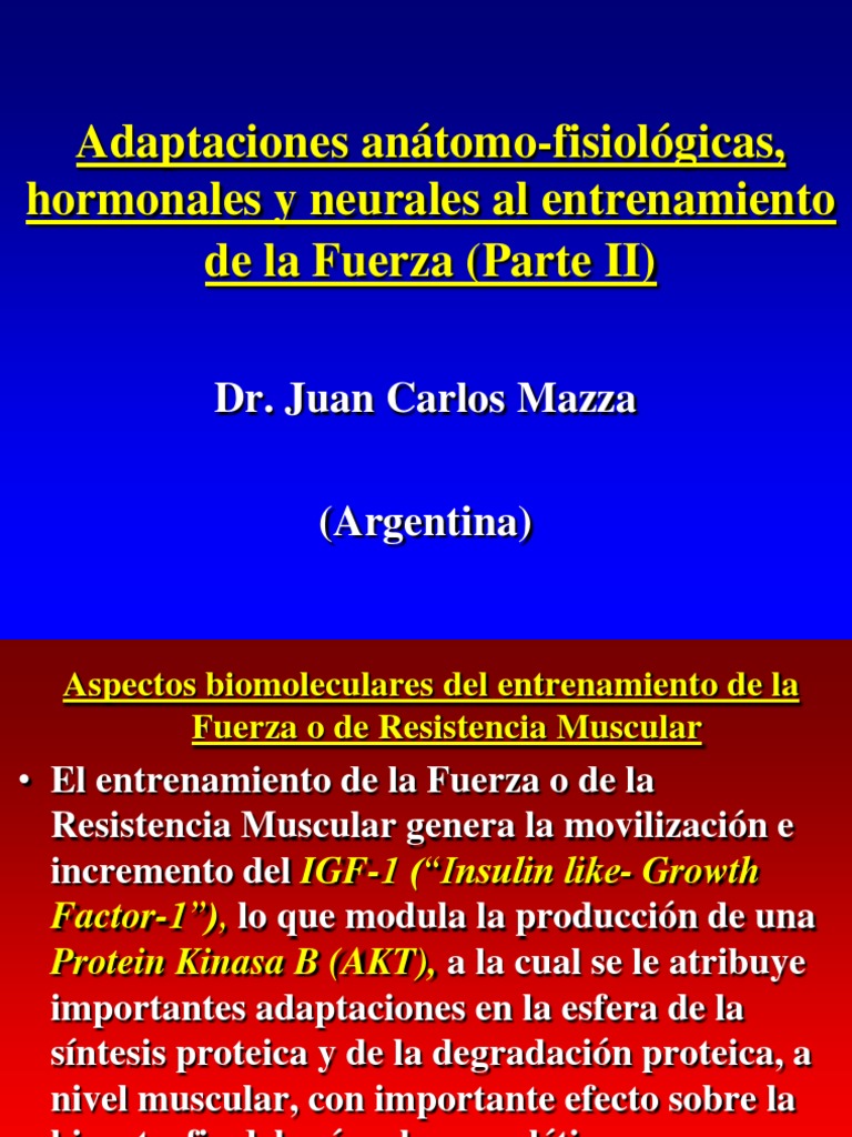 Adaptaciones Al Entrenamiento de La Fuerza Parte II