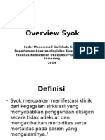 Overview Syok