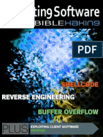 EXploiting Software and SHELLCODE