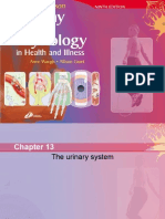 Chapter 013srinary System