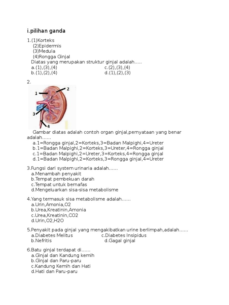 Soal Hots Elekstroskop Kelas 9