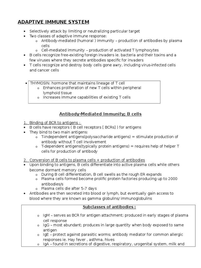 Overview of Adaptive Immune System | PDF | Adaptive Immune System ...