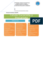 Organización Estructural y Funcional de Las Células