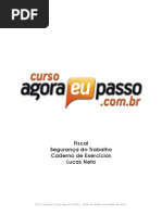 Fiscal Segurança do Trabalho